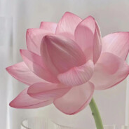 不抽象的人请不要和我说话