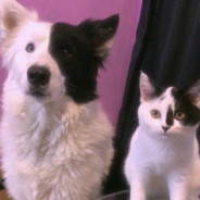 西北公大-二大爷