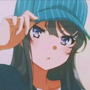 猪头骚年只梦麻衣学姐