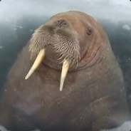 TheWalrus