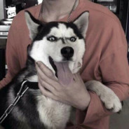 一拳一个嘤嘤怪