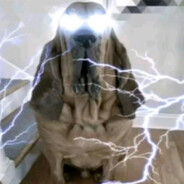 1iq - steam id 76561199346219036