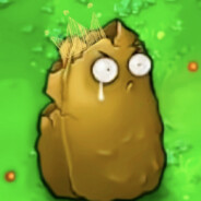 悲伤大毛很悲伤