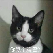 两年半的原神糕手