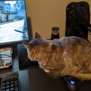 Cliff - steam id 76561197970970305