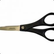 Running with scissors - steam id 76561197971095998