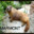 BigMarmont