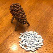Pinecone Pig love drugs