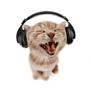 ★彡Злой☯Кот彡★