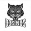 COSINUS