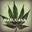 Chronic Smoke