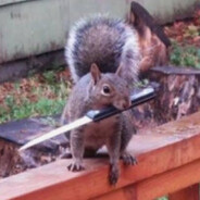 EvilSquirrel