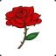 Rose of Balgat
