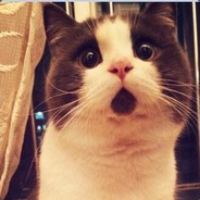 (o´ω`o)و(* ▽ *)