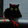 T1 Evil Cat