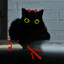 T1 Evil Cat