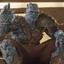 Korg