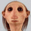 BESEE BESEE