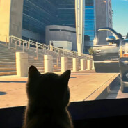 那句晚安你听了吗