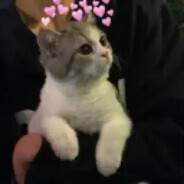 Xeko=) avatar