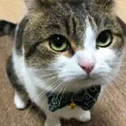 евгений фимоз