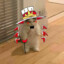 zosia_k
