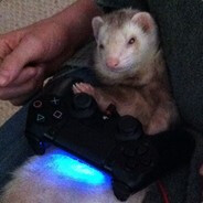Ferret Playing PS4