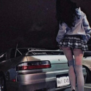 兴尽晚归舟