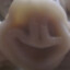 bylmen