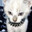kittyboy