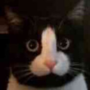 与我的哨兵小姐共进晚餐