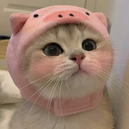 брум-брум бляTь