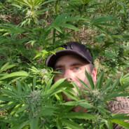 DopeSick*420 avatar