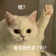 可爱又悲伤的小男娘