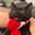 AlexSkingzy avatar