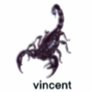 𝕧𝕚𝕟𝕔𝕖𝕟𝕥 - steam id 76561197995323949