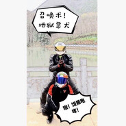 西安在逃凉皮