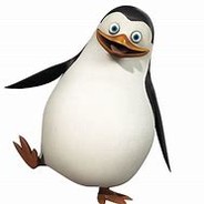 Mr.Penguin