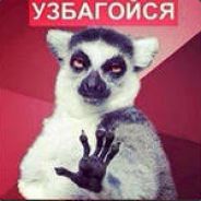 МажуСиськуМёдом