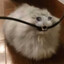 Séboubébou