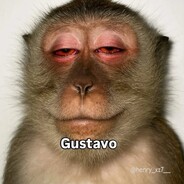 Gustavo