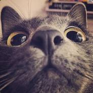 Dave