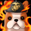 Semperfiredog