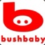 Bushbaby66R