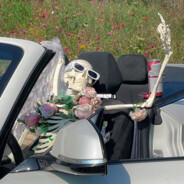 赤兔见了都说好马