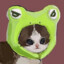 Box W Frogs