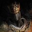 Naughtius Maximus