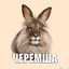 Черемша
