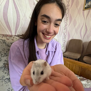 Играю с хомяком