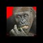 フライングゴリラ 🦍